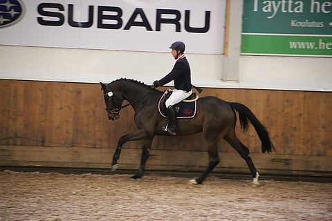 Helasoiden jalostus- ja kilpaori meni uudelle ratsastajalle. Kuvassa Christer oripäivillä Ypäjällä keväällä 2017.