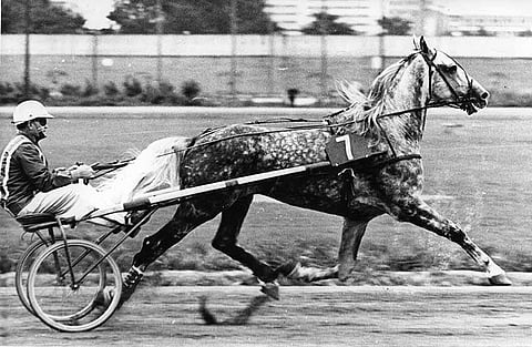 Gletser ja Pellervo Pekonen. Kuva: Hevosurheilun arkisto.