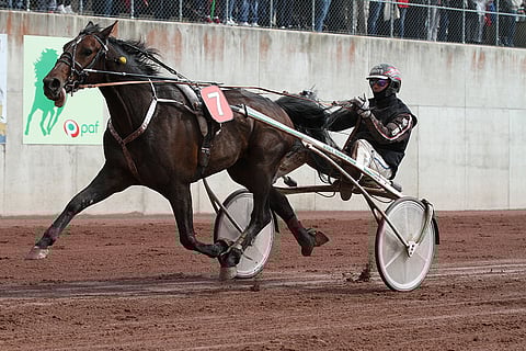 Hyvään kuntoon noussut I Won't Dance on avauskohteen todennäköisin voittaja.