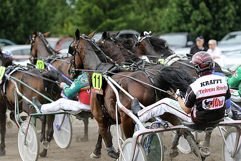 Äänestä kesäkuun Kuukauden ravureita ja osallistu Viesker-kirjan arvontaan!