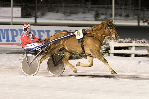 Pireus ja Harri Koivunen Teivossa talvella 2016.