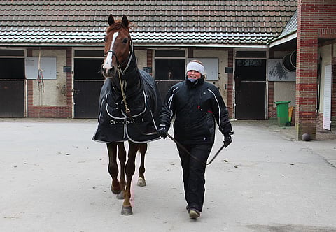 Lionel ja oriin hoitaja Kirsi Manninen tammikuussa Ranskassa.