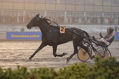 Seabiscuit oli pysäyttämätön Helsinki-ajossa.