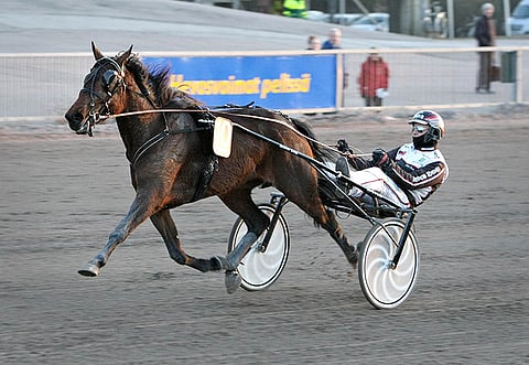 Vauhdikas April Love D on mielenkiintoinen pelikohde Kouvolan raveissa, jotka ajetaan Vermossa.