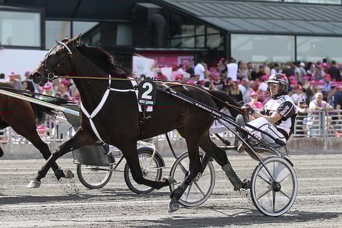 Callela Lisbeth nähdään jälleen E3-finaalissa. Kuva: Jarno Unkuri