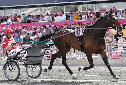 Ruotsin startit ovat vieneet Elian Webiä roimasti eteenpäin. Kuva: Jarno Unkuri