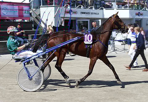 Anything For You eli "Antti" ja Hannu Torvinen.