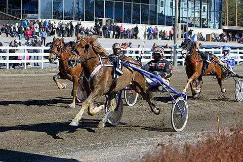 Äänestäjä piti Tähen Toivomuksen takanaan ja paransi ennätystään liki neljä sekuntia.