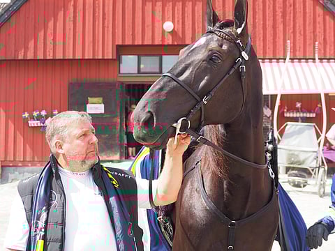 Hannu Javanainen kävi tänään tallialueella tervehtimässä Nunciota. Kuva: Stiina Ikonen