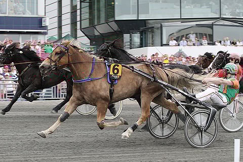 Polara kirjoitti nimensä historiaan Elitkampenin neljäntenä suomenhevosvoittajana.