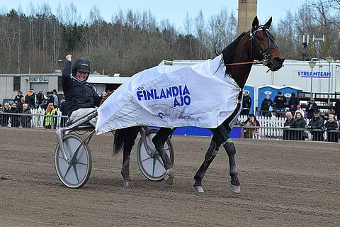 D.D.'s Hitmanin hoitaja Laura Myllymaa tuuletti suurkilpailuvoittoa Vermon juhlayleisön edessä.