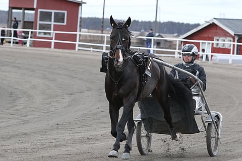 Workout Wonder ja Jarno Kauhanen.