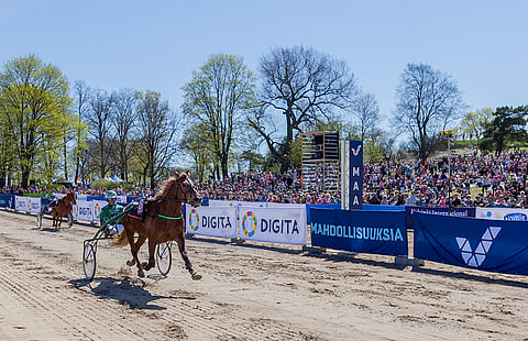 Suomen ensimmäiseksi suomenhevosten cityravien voittajaksi julistettiin Ypäjä Ilmestyvä. Kansa hurmioitui, ja pessimisti totesi olleensa väärässä.