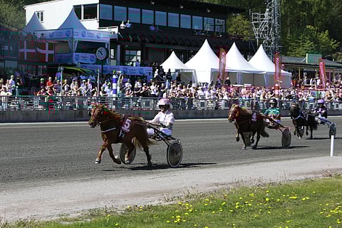 Kohti sinivalkoista kolmoisvoittoa, Pomona, Dynamit II,  Thorvald. Kuva Totofoto