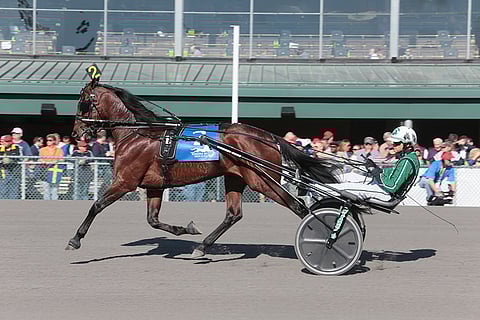 Resolve on huippuvireessä heti kauden alussa.