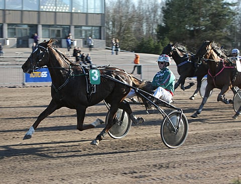 Star Photo oli Toto65-avauksessa pysäyttämätön.