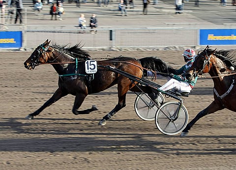 Issaquah Sundilla on Seinäjoen Toto5-raveissa sopiva tehtävä.