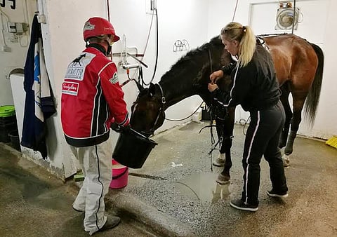 Katja Melkon ja Janne Sorosen tallin tuli kolme voittoa Örebrossa. Arkistokuvassa on Elian Web. 