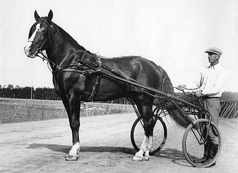 Eri-Aaroni ja Arvi Räikkönen.