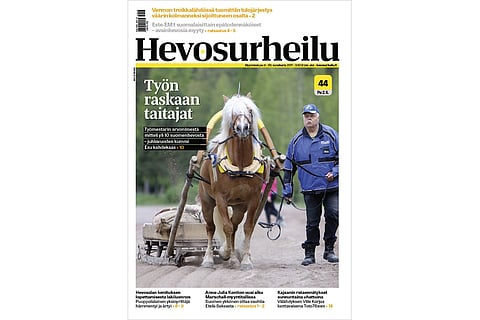 Juhlavuoden kummihevonen Esu ja Matti Ahola. Kuva: Satu Pitkänen.