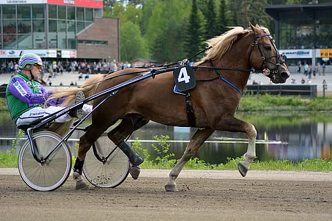 Costello pisteli hirmutuloksen Killerin Kimarassa.