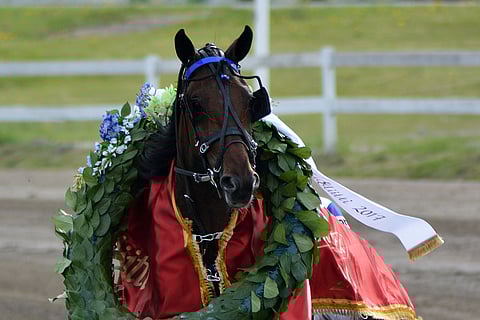 Top Of The World voitti Killerin Eliitin vuonna 2017.