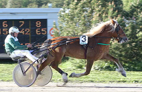 Turelius ja osaomistaja-valmentaja Eero Laitinen.
