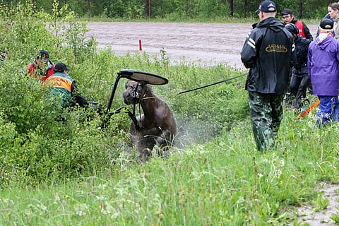 Jytkytuli makasi ojassa hyvän aikaa, ennen kuin sen varusteet saatiin irti ja hevonen pääsi kömpimään jaloilleen.