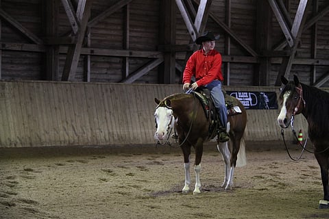 Pete Perkiö ja persoonallinen huippuratsu.