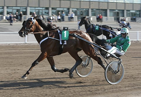 Spade Ace Frido oli lopulta ylivoimainen voittaja.