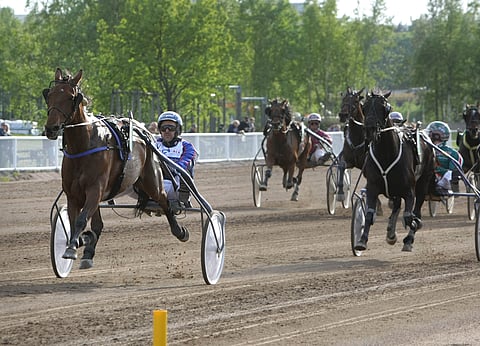 Twigs Voici irtosi muista nappireissun jälkeen varmasti.