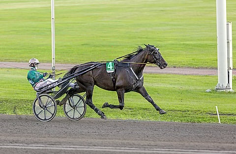 Bertuccio oli lopulta ylivoimainen Lappeenrannan Toto4-avauksessa. Tällä kertaa hevosta ohjasti kuvasta poiketen Santtu Raitala.
