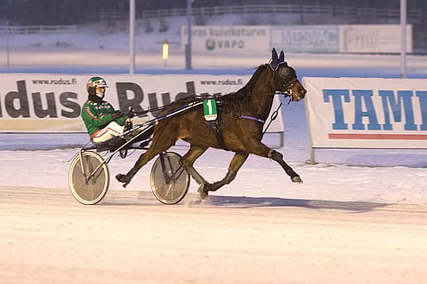 Boulder Luke on nappijuoksulla yllätysvalmis Solvallan T86-päätöksessä.