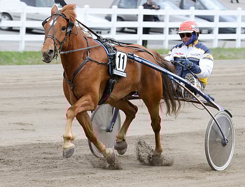 Koskelan Akseli kilpailee Toto76-pelin varmana.