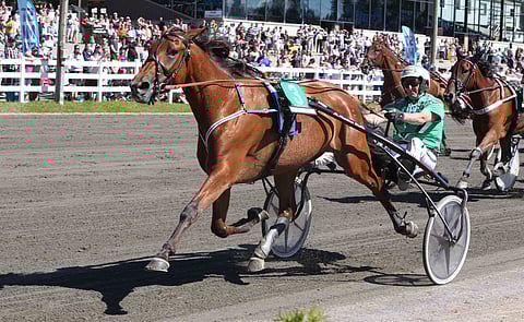 Nefertiti Frido rattaillaan Ari Moilanen