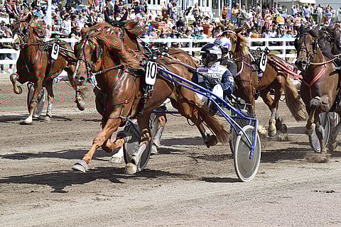 Callex on mukana kotiratansa SE-kokeessa. Kuva: Roosa Lindholm