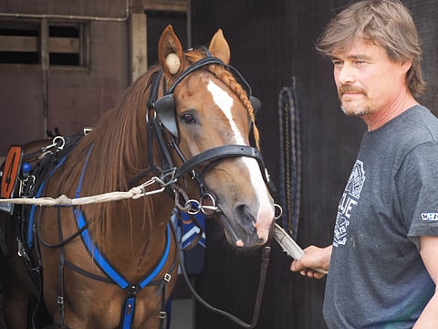 Välähdys valmistautui rauhallisena lämmitykseen.