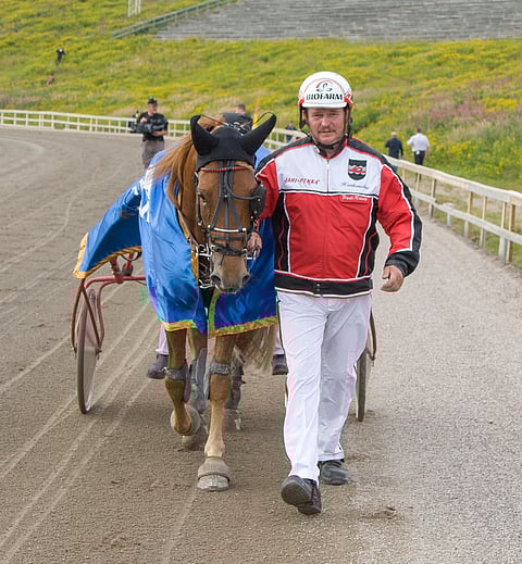 Tähen Toivomus ehti jo kertaalleen aloittaa kautensa tänä vuonna, ja nyt Pauli Raivio on löytänyt oriille hyppyhommien lomaan mukavan lähdön. Kuva: Jari Piirala