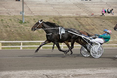 Double Cross vastasi ohitusta yrittäneelle Outfield Olgalle.