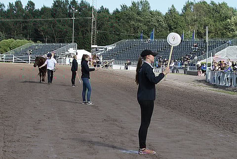 Jennitär nostatti huutointoa Vermon varsahuutokaupassa.