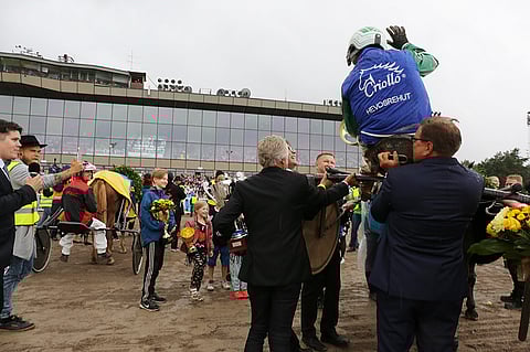Köppistä juhlittiin ravikuninkaana Vermossa 2017. Tänä vuonna ori esittäytyy samalla radalla pienemmälle kuninkuusraviyleisölle,.