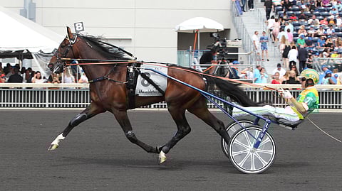 Long Tom Meadowlandsissa hambopäivänä Tim Tetrickin ajamana.