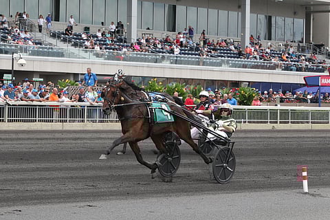 Tamma Manchego on kilpaillut huipulla jo kolme vuotta USA:ssa. Kuva Totofoto