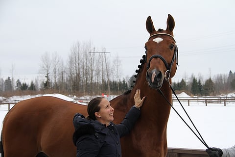 Lord Lohengrin oli kaunis ori.