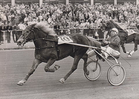 Olle ja Timo Takkinen.