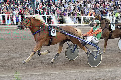 Kaarnalii on niin kyvykäs, että se voi suoraan tauoltakin voittaa.