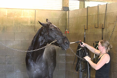 Mirva Boguckin Sortie suihkussa. Kuva: Totofoto