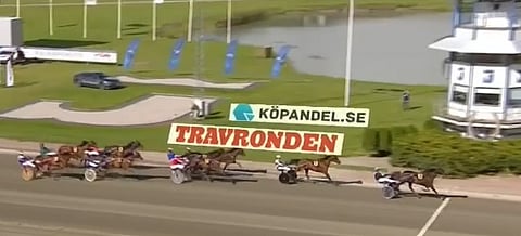 Cash Crowe voitti Derbystoetin. Kuva: HU arkisto