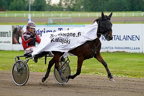 Exotic Linda on mielenkiintoinen pelihevonen Killerillä.