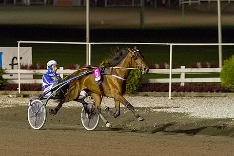 Gloria Web voitti viime syksynä Kriteriumkarsinnan. Kuva: Ada Pykäläniemi